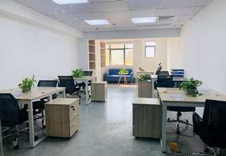 聊城薄雾蓝莓苗种植